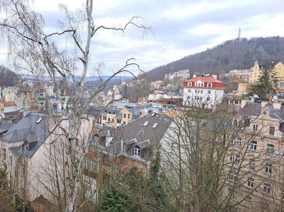 Vila Historica Karlovy Vary Exterior foto